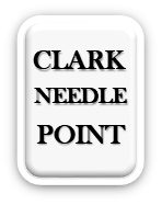 Clark Needle Point